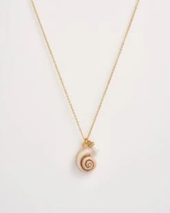 Sea Snail Shell And Pearl Worn Gold Short Necklace